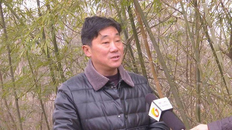 严店乡刘河最新规划，未来蓝图展望