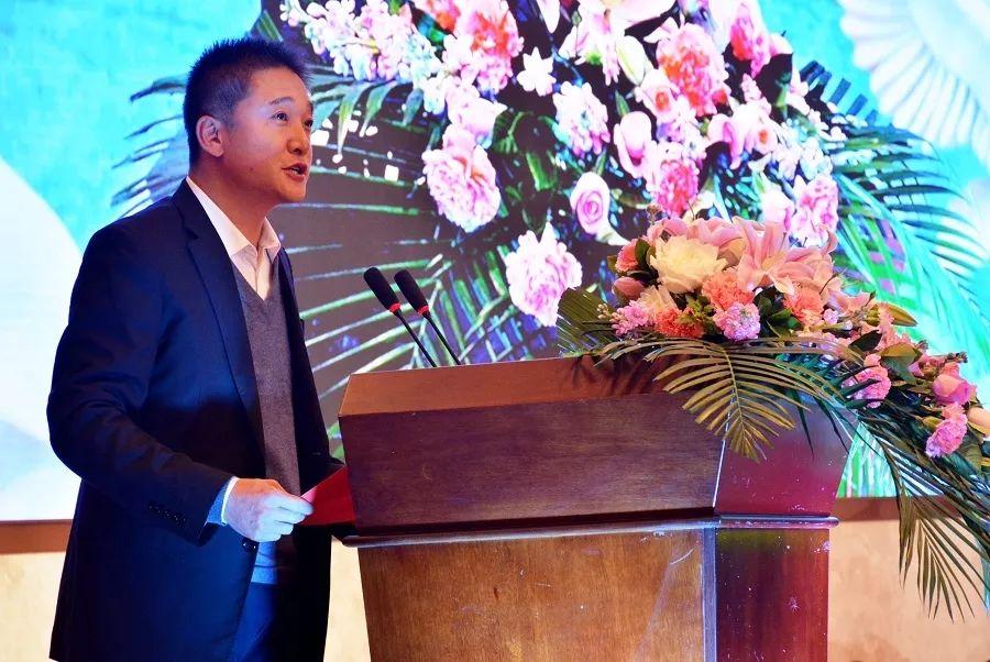 云南和平公棚最新公告，揭示未来发展规划与重要更新