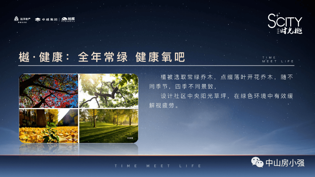 平庄贴吧，最新事件深度解析