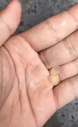 普宁最新新闻，台风来袭，全市进入应急状态