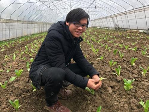 恒大扶贫大方最新情况