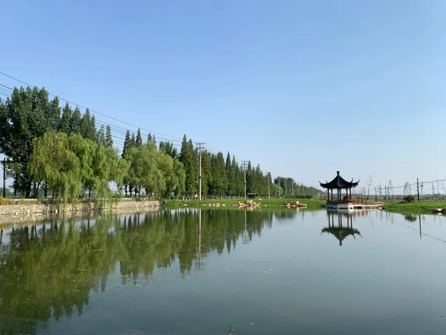 丹阳练湖开湖最新动态，生态修复与旅游发展的融合之旅