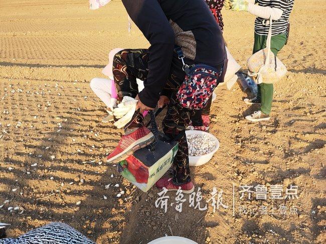 商河最新招手工活发放——开启灵活就业之门