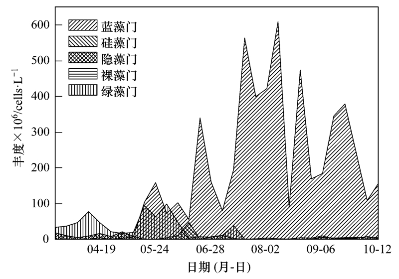 兰溪信息港最新招聘动态及其影响