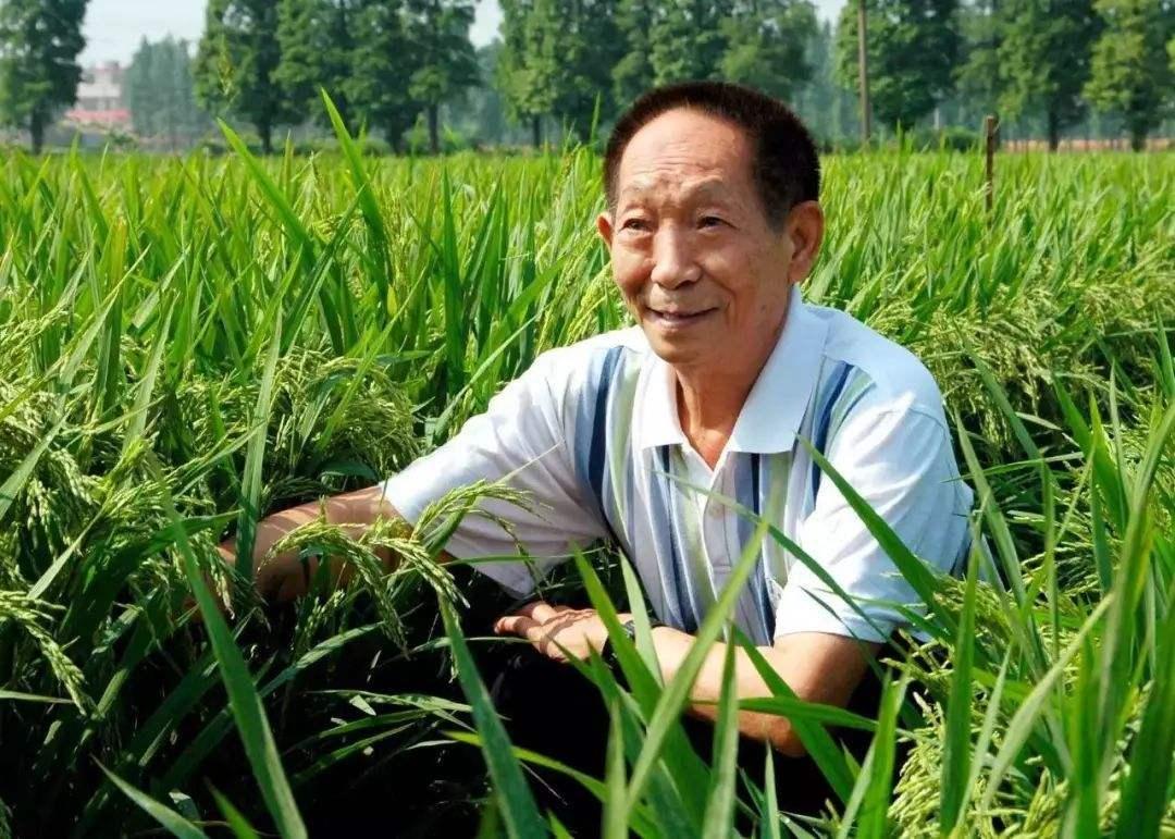 最新关注公众号，秒到红包——体验数字化时代的福利