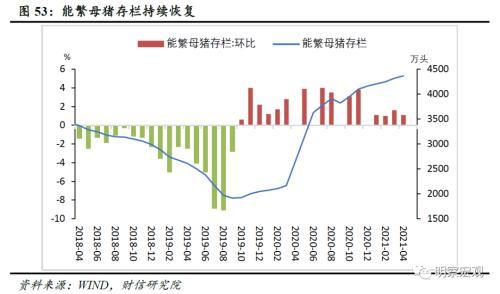 纸价下跌最新消息，市场趋势、影响因素及未来展望