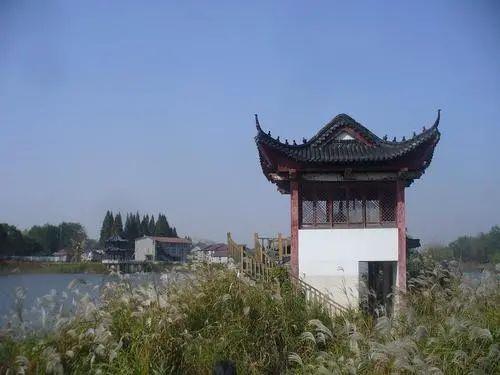 枞阳老洲镇最新新闻报道