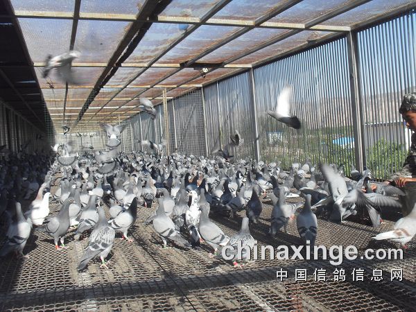 关于我们 第27页
