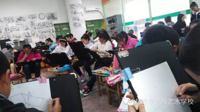 新乡常青藤的最新动态，探索未来教育的新篇章