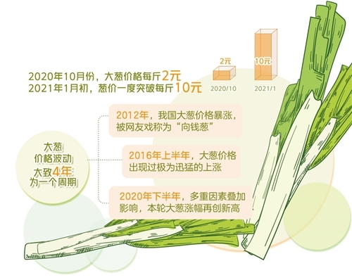 山东大葱最新价格行情分析