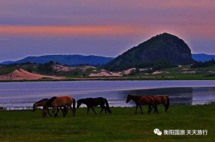 巴彦乌兰水库最新消息深度报道