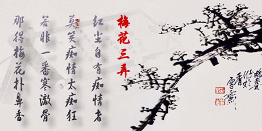梅花诗韵，探索2016最新正版梅花诗的魅力