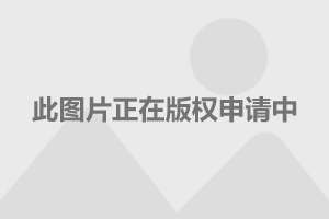 斯柯达Kodiak最新消息深度解析
