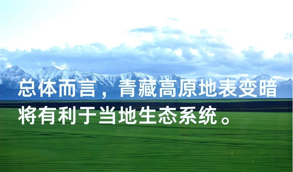 青青草针对华人最新的影响与启示