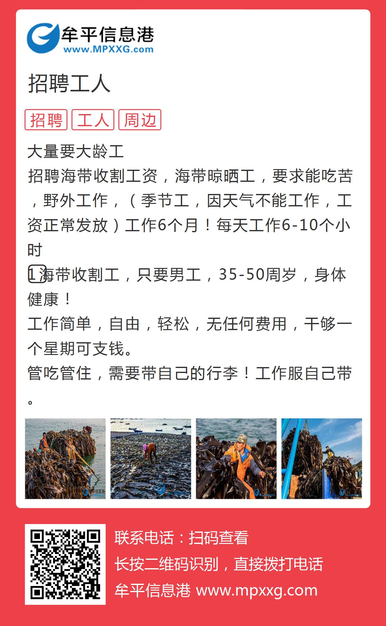 滨州赶集网最新招聘动态及其影响