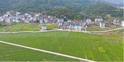 湖南新田最新消息新闻