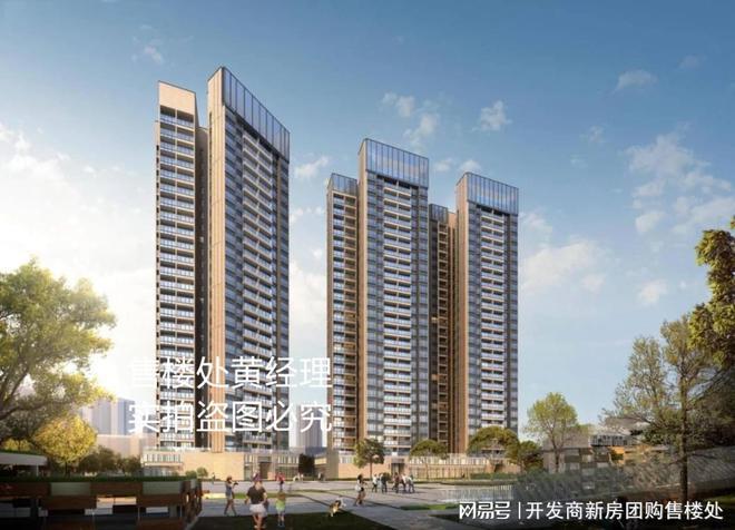 阳光宜居，最新消息与深度解读