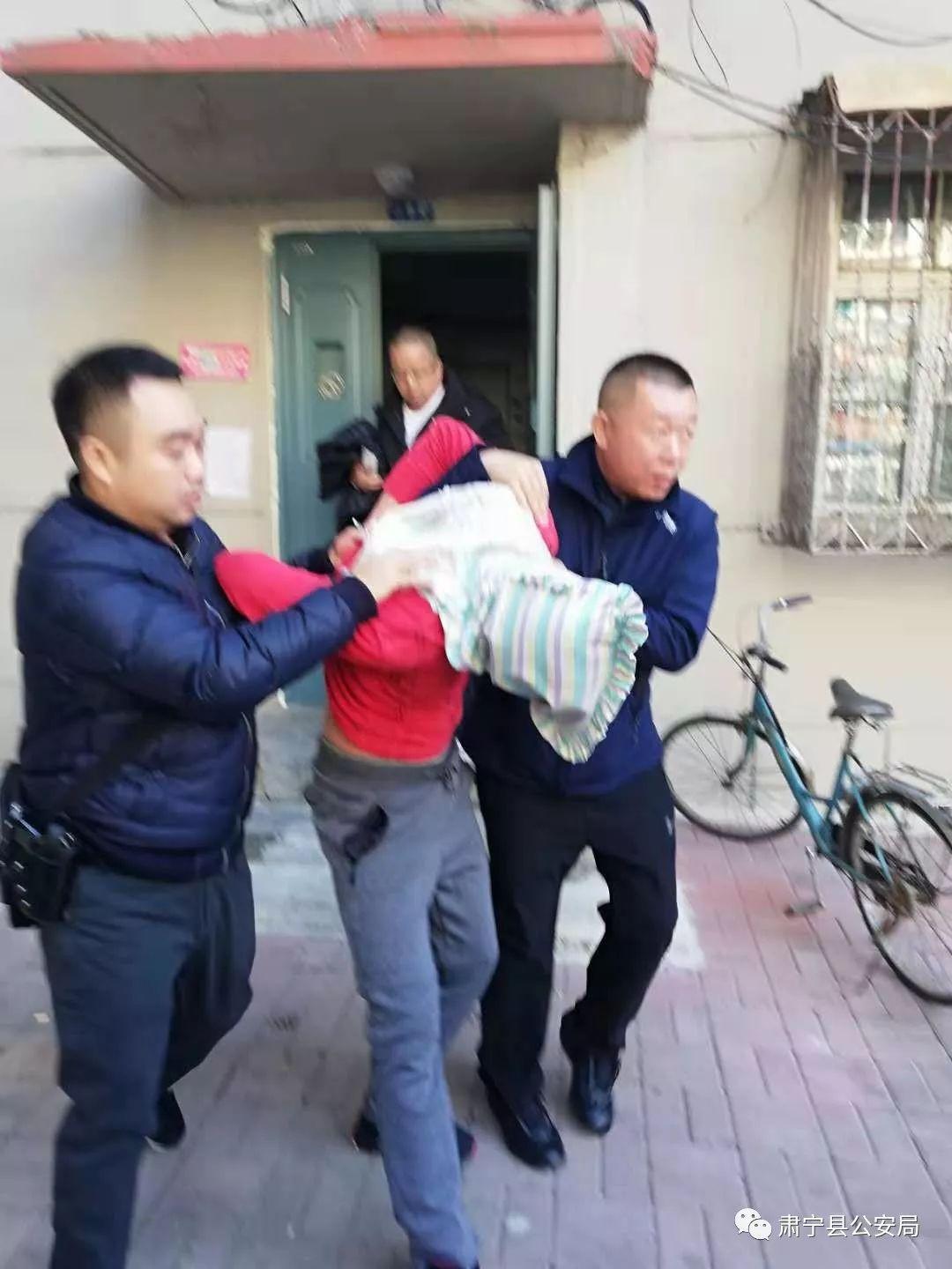 今日尚村貉皮最新价格，市场走势深度解析
