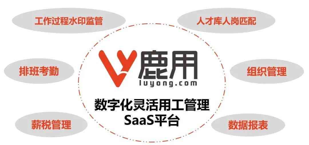 搜鹿网最新招聘信息概览