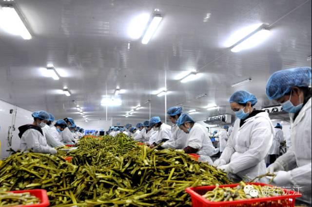 沅江新闻网最新新闻动态概览