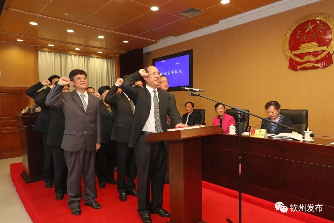 钦州市最新人事任免动态