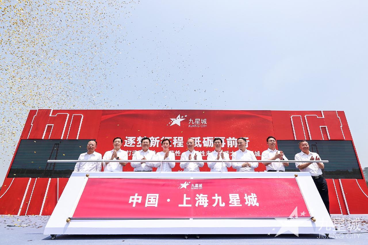 上海九星市场最新情况深度解析