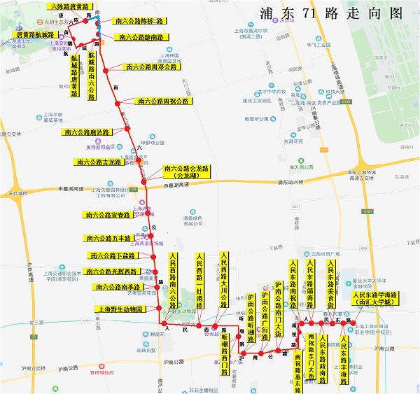 张南专线最新时刻表详解