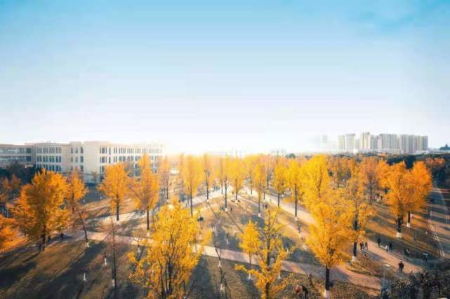 德升电子最新招聘信息及职业机会探讨