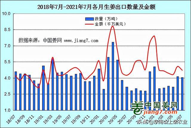 山东大姜最新价格行情分析