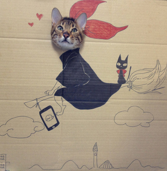 女巫的猫最新作品2016，奇幻与现实的交融